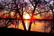 Overlooking Lake Simcoe
